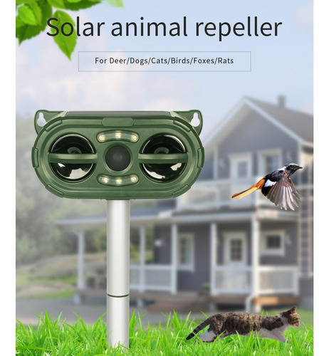 De Animales, De Solares, De Pájaros Y