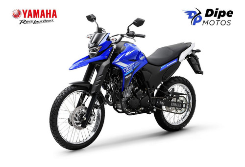 Imagem 5 de 5 de Yamaha Xtz Lander 250 Abs 2022 - Dipe Motos