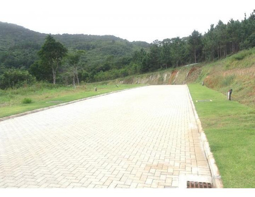 Imagem 12 de 15 de Terreno Em Condomínio Para Venda Em Florianópolis, Itacorubi - Tcf124_1-767905