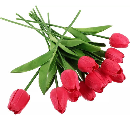 Buque De Tulipas Vermelhas Real Ao Toque Com 10 Tulipa