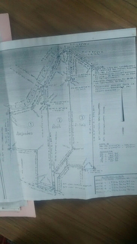 Imagen 3 de 14 de Campo En Gualeguaychú 23,5 Ha Con Playa Natural