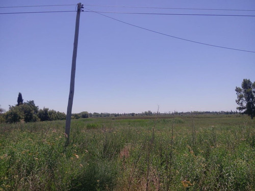 Imagen 14 de 24 de Predio Urbano/rural S. Rafael Las Malvinas Mendoza