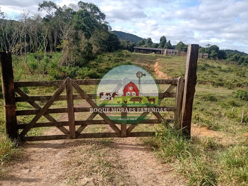 Imagem 11 de 20 de Fazenda À Venda Com 80 Alqueires Paulista No Vale Do Ribeira-sp Ref.: 0858