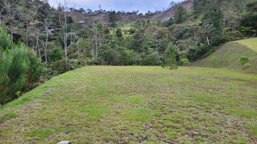 Venta De Lote En Unidad Cerrada Juanito Laguna El Retiro