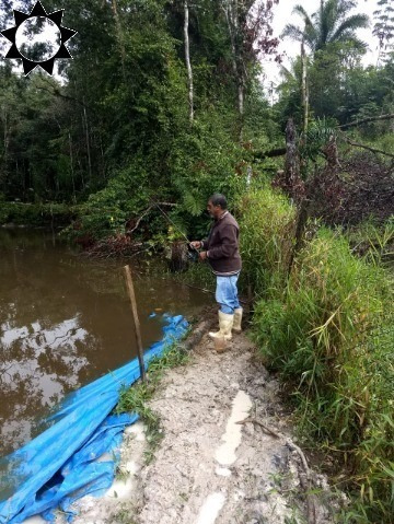 Sitio Iguape - St00023