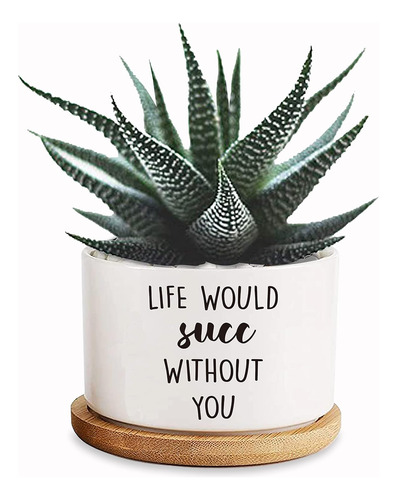 Life Would Succ Without You Funny White Mini 3.5 Inch C...
