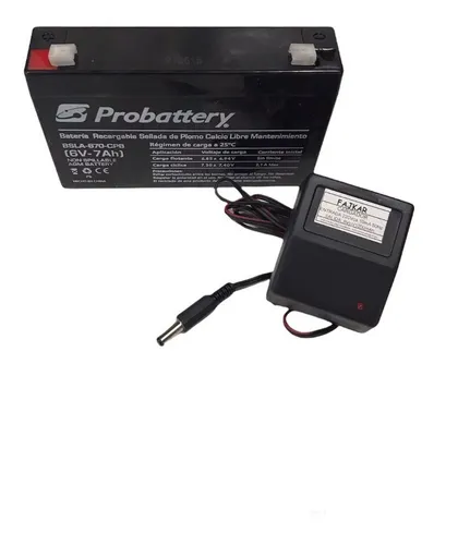 Bateria 6v sales auto electrico