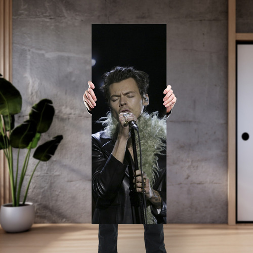 Cuadro Grande 30x80 Cm Musica Harry Styles Cantando Animeras