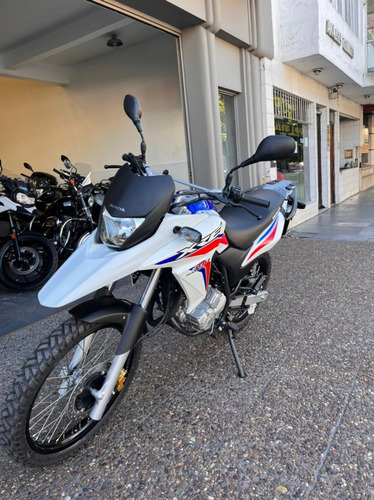 Imagen 2 de 11 de Honda Xre 300