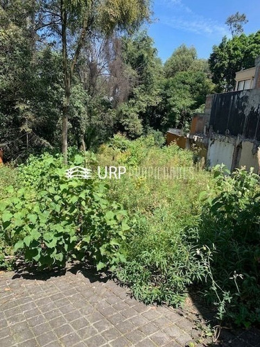 Imagen 2 de 5 de Bonito Terreno En Venta, En Cerrada En Lomas Altas