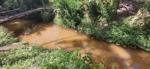 Imagem 4 de 18 de Miracatu /bela Chácara Plana C/riacho/só R$ 90 Mil/oportunidade/ref:05367