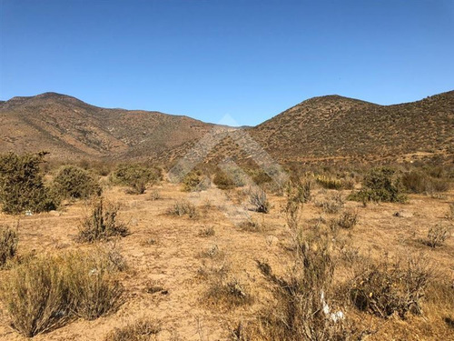 Agrícola En Venta En Andacollo