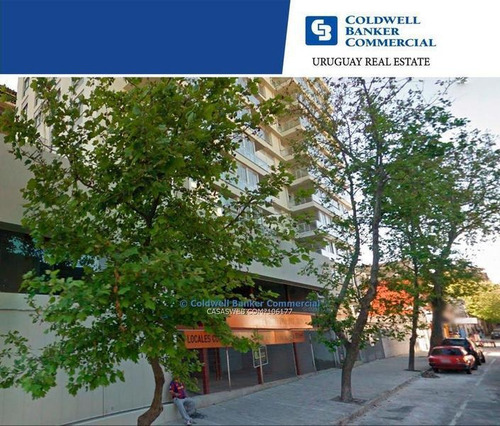 Local Comercial O Oficina - Barrio Sur - Alquiler