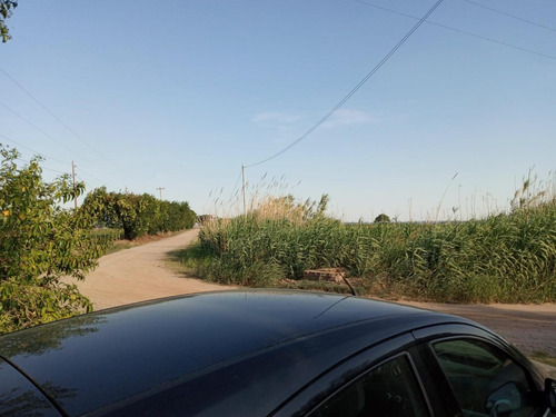 Imagen 9 de 9 de Campo En El Quebrachal