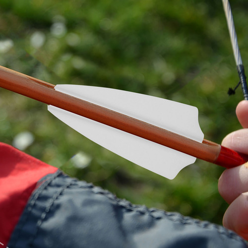 30 Paletas De Flecha Con Forma De Escudo De 2.5 Pulgadas: Li