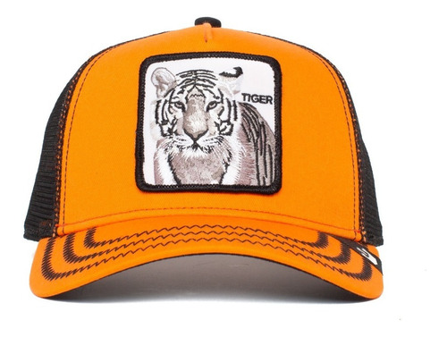 Gorra Goorin Bros Eye Of The Tiger