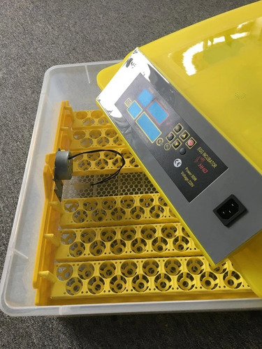 Imagen 7 de 10 de Incubadora De 48 Huevos Hhd 12v(bateria) Y 220v