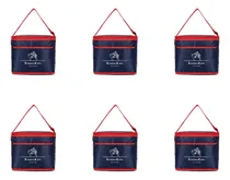 Comprar Pack 6 Bolsos Térmicos Coolers Comida O Bebida 30x24cm