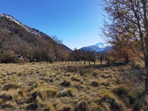 Terreno 5.000 M2, Sector Caracoles, Malalcahuello