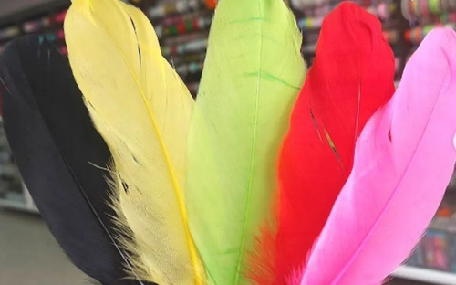 Imagen 2 de 5 de Plumas De Colores
