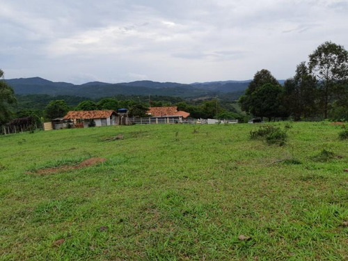 Fazenda Para Venda Em Nova União, Fazendinha, 4 Dormitórios, 1 Banheiro - F14_1-1023508