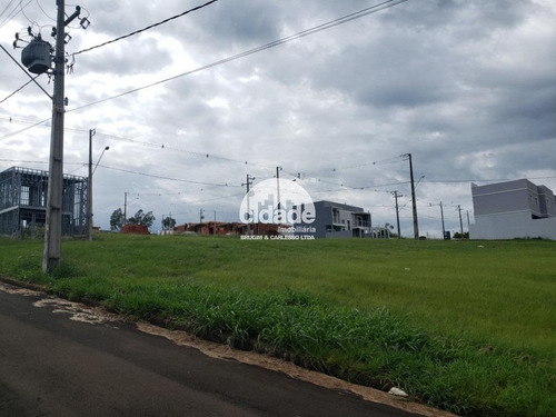 Imagem 5 de 10 de Terreno À Venda, Universitario - Cascavel/pr - 11239