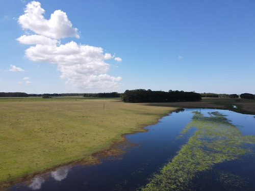 Campo Agrícola Ganadero En Venta Rocha (ref: Atm-6354)