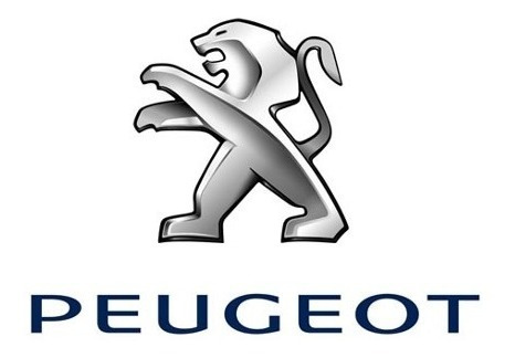 Imagen 4 de 6 de Antena Corta De Radio Peugeot No Aplica A 206 Ni Partner