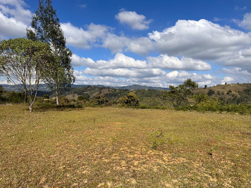 Encantador Lote En Con Linda Vista En Venta Guarne