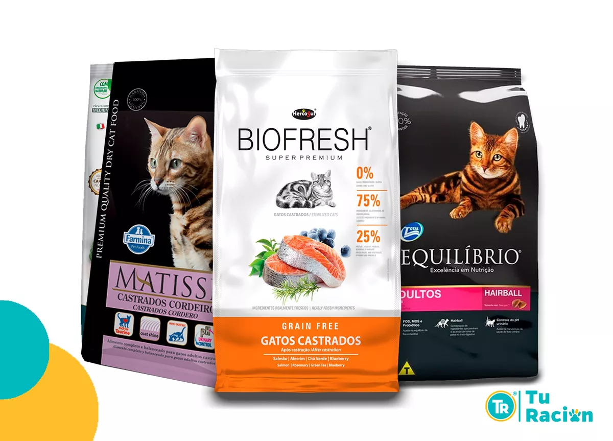 Alimentos para Gatos