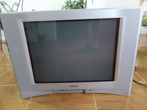 Televisor Sony Trinitron 25 Pulgadas