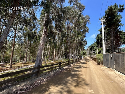 Soleado Terreno En Aguas Claras, Hijuela El Parque Cachagua