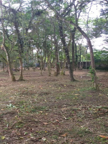 Imagem 7 de 10 de Terreno Em Área De Chácara - 6531 - 69840740