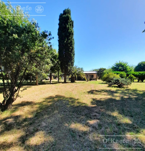 Chacra En Venta De 3,5 Has En Arturo Segui !!!