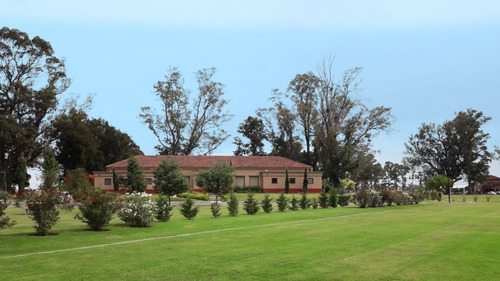 Imagen 3 de 12 de Venta De Lote En Oportunidad, En San Lucas Canning