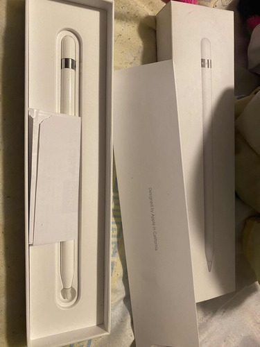 Apple Pencil (Usado)