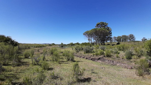 Chacra A 25km De Punta Del Este Y 10 Km De Piriápolis