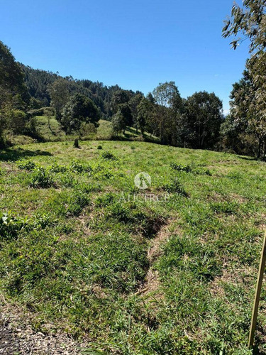 Imagem 6 de 9 de Lindo Terreno Em Rancho Queimado - Te0148