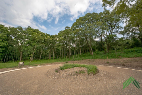 Imagen 14 de 25 de Vendo Terreno En El Retiro - San Lorenzo