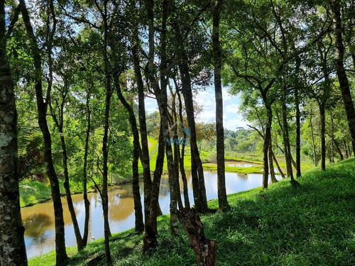 Imagem 21 de 30 de Linda Chacará Com Mais De 36.000 M², Situada Na Cidade De Quitandinha, Paraná. - Ch00019 - 70570203
