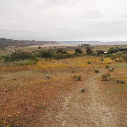 14.000 Mt En Loma Con Vista Al Valle Y Playa En Tunquen