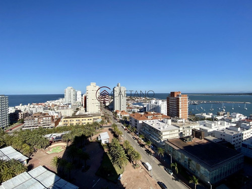 Imagen 1 de 19 de Amplio Apartamento En Peninsula - Punta Del Este Peninsula