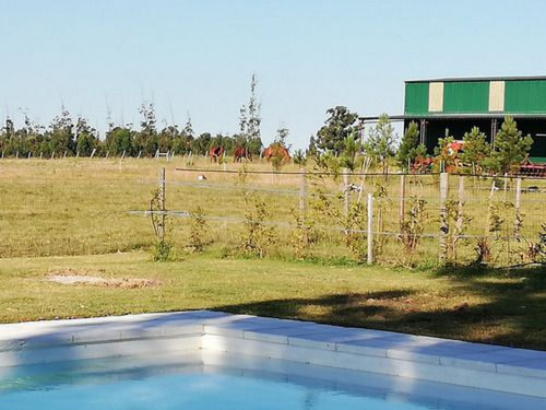 Campo En Venta En Rocha Ref. 7123