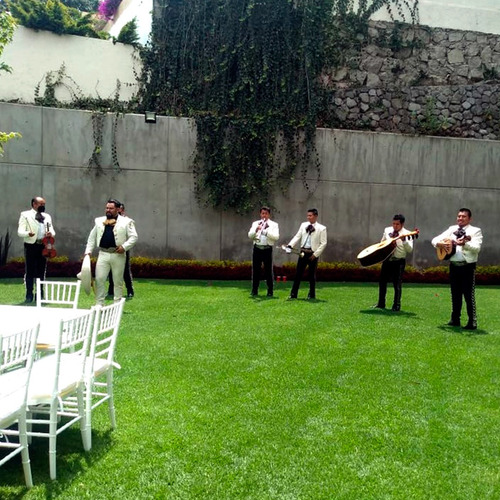 Imagen 9 de 10 de Mariachi Para Fiesta En Cdmx | Mariachis Para Serenatas Cdmx