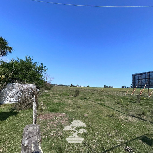 Venta De Chacra Con Casa Ruta 5 Florida Mp.