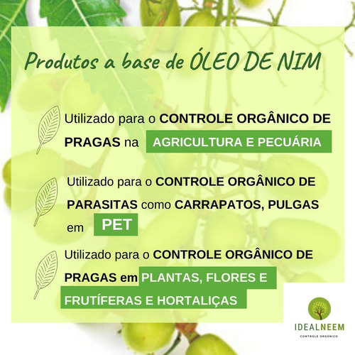 Óleo De Neem/nim Puro - Original 1l