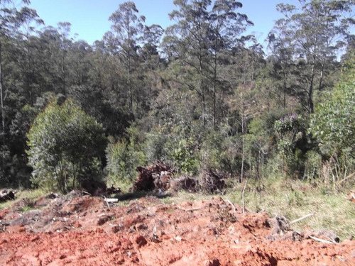 Terreno Em Chácara Recanto Verde, Cotia/sp De 0m² À Venda Por R$ 250.000,00 - Te751436