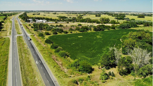 Campo En Venta 50 Hectáreas Sobre Ruta 6