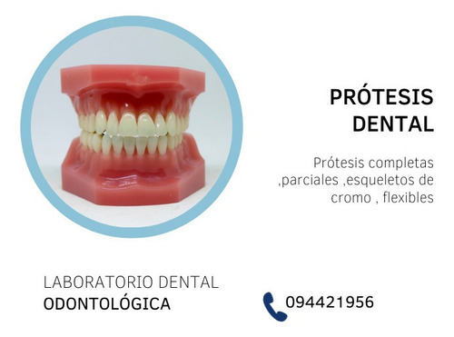 Imagen 5 de 5 de Laboratorio Dental.protesis Comunes Y Flexibles