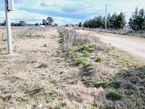 Imagen 20 de 24 de Venta De Campo De 2 Hectáreas En Guernica